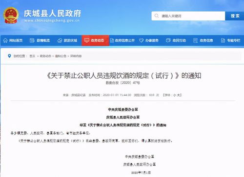 酒駕處罰2024最新標(biāo)準(zhǔn)詳解，步驟指南與更新概覽