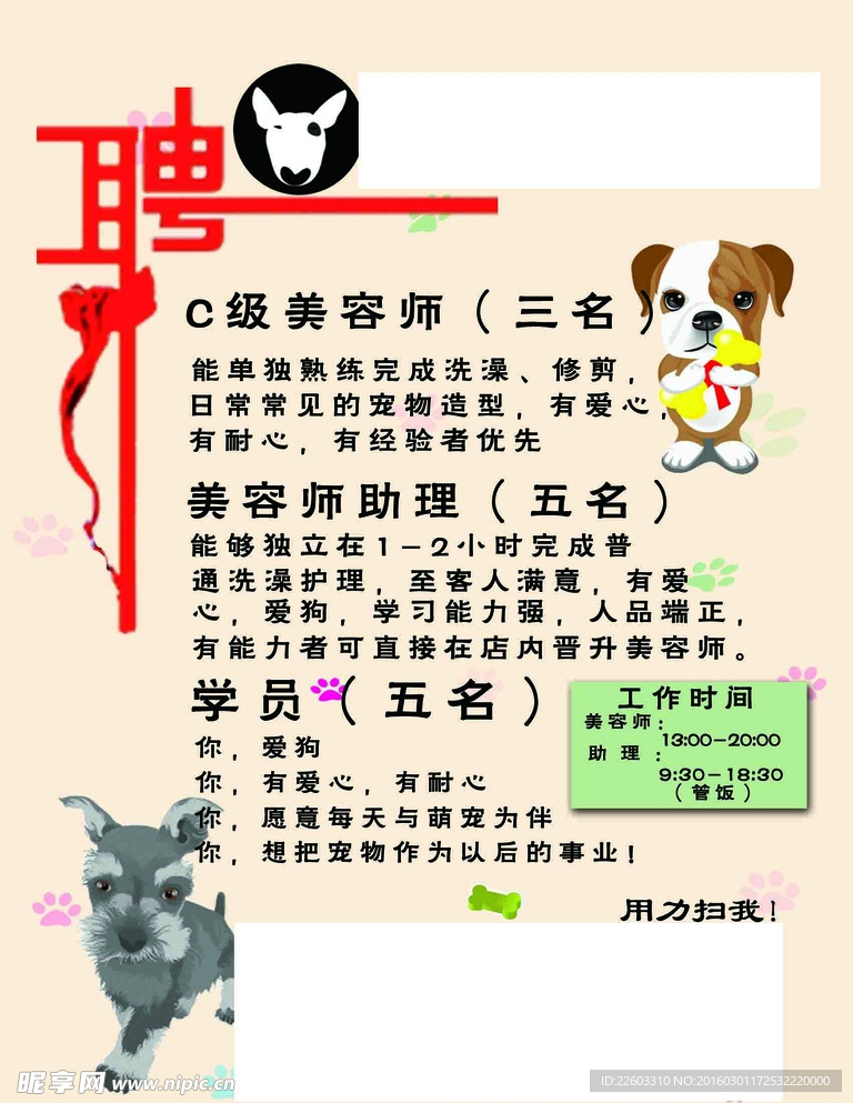 寵物店招聘最新動態(tài)，共探自然之美，尋求內(nèi)心寧靜