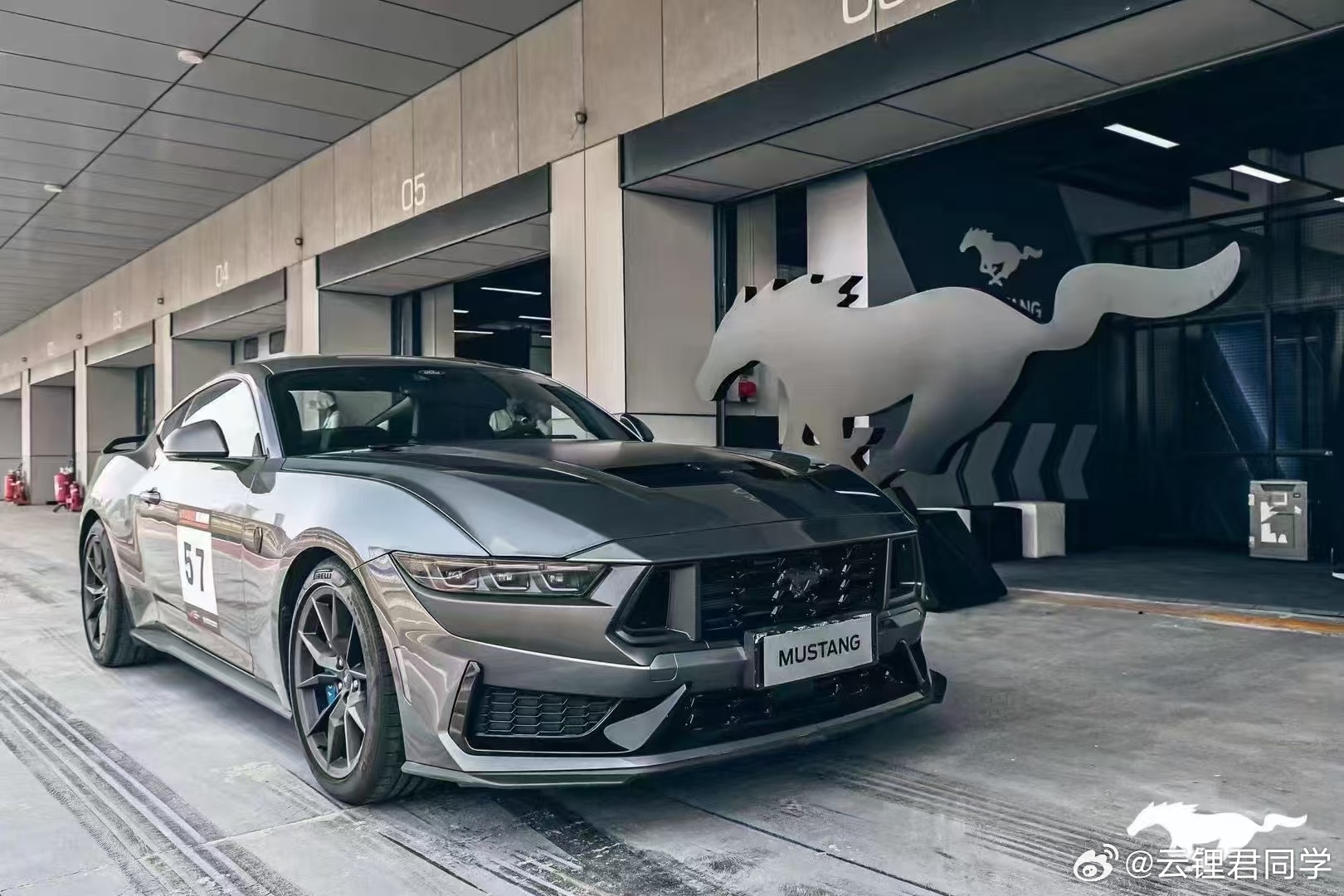 野馬擼最新動態(tài)，駕馭變化，自信成就夢想之旅