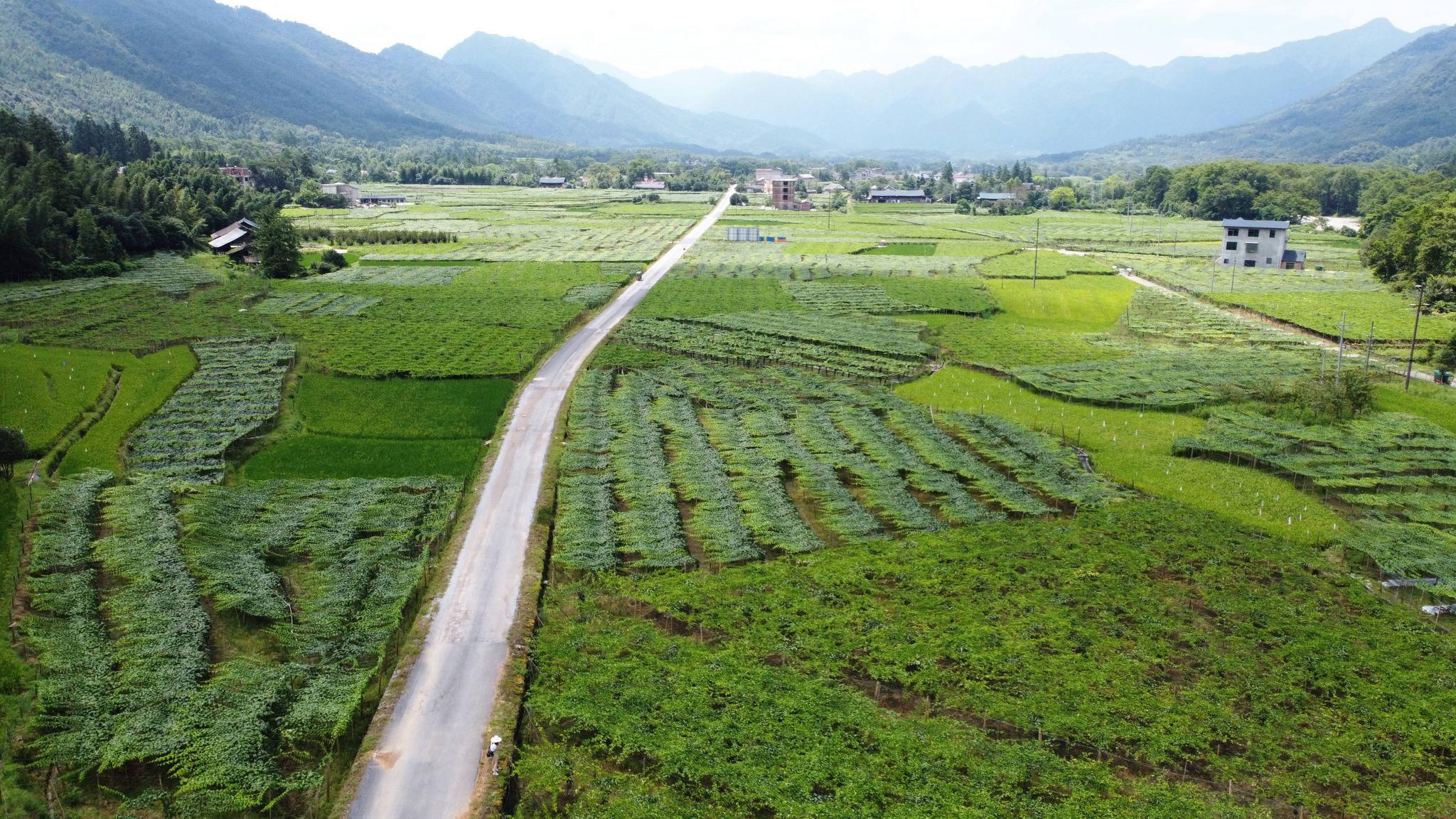 新文村，時代變遷下的文化繁榮與發(fā)展新篇章