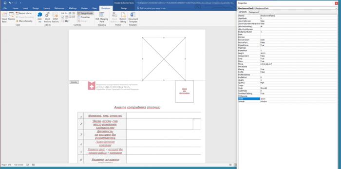 Flash Player官方最新版下載，探索小巷寶藏與特色小店的奇妙之旅
