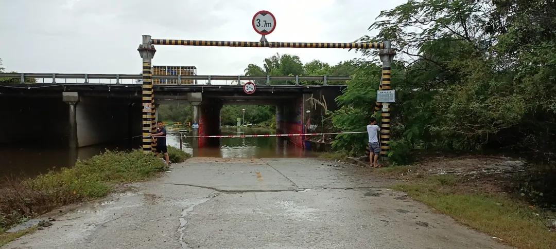 惠陽臺(tái)風(fēng)最新消息，小巷深處的風(fēng)味秘境