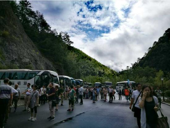 泰順高鐵最新動態(tài)更新，最新消息一覽