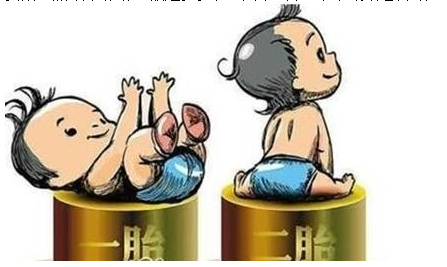 最新雙胞胎補(bǔ)助政策，攜手同行，助力孕育夢(mèng)想之路