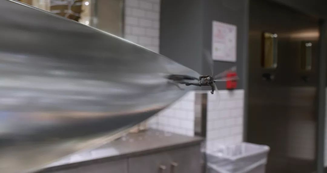 最新電泳技術(shù)，一路向前，學(xué)習(xí)成就自信之源