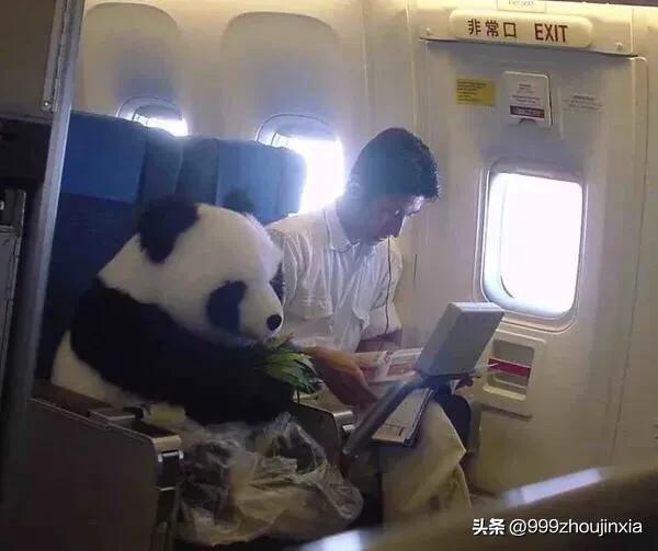 追逐變化之翼，學(xué)習(xí)鑄就自信與成就——虛幻最新探討