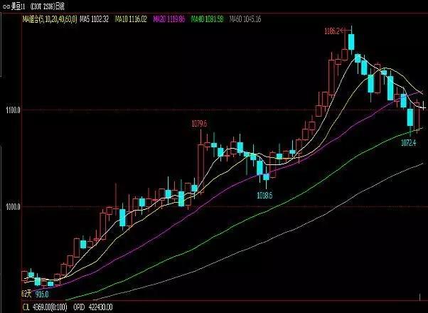 豆油最新行情概覽，市場(chǎng)走勢(shì)分析與未來展望