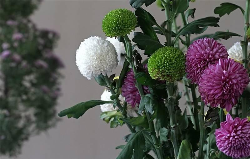 最新娛樂頭條，躍上成功舞臺(tái)的魔力之旅，自信與成就感的碰撞