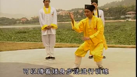 太極最新音樂，傳統(tǒng)與現(xiàn)代的完美融合藝術(shù)展現(xiàn)