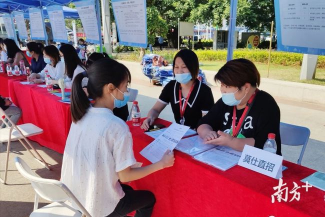 石碣最新招聘動態(tài)，把握職業(yè)機(jī)遇，共創(chuàng)美好未來之路