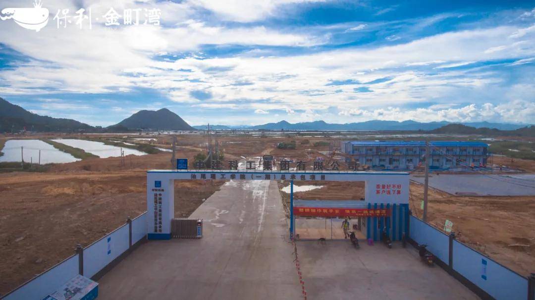 汕尾最新大項目揭秘，小巷深處的獨特風(fēng)味