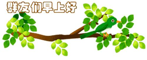 最新清晨祝福短信，晨曦中的溫暖問候，傳遞美好祝愿與關(guān)懷