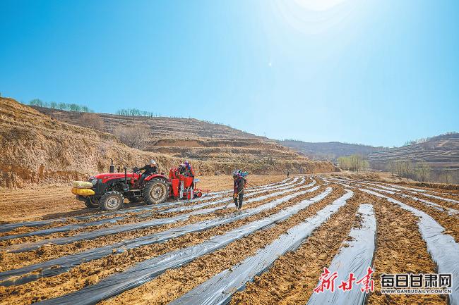 秦安最新新聞，城市溫情日常溫馨小事報(bào)道