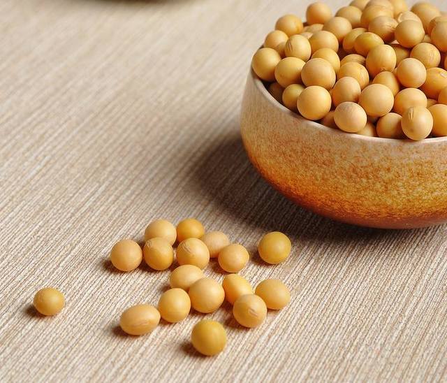 國(guó)產(chǎn)大豆最新價(jià)格，時(shí)代的變遷與影響