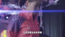 笑斯人最新視頻，日常趣事與友情的紐帶展現(xiàn)！