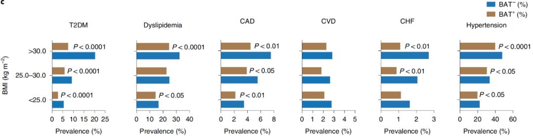 腦疾病最新研究，重塑大腦信心與成就感之路