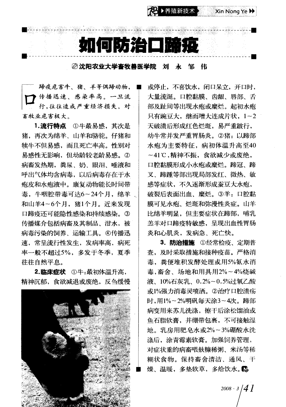 口蹄疫最新科研，自然探險與內(nèi)心平和的追尋之旅