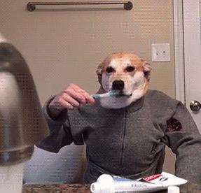 小巷獨特風情小店的最新原創(chuàng)個性簽名