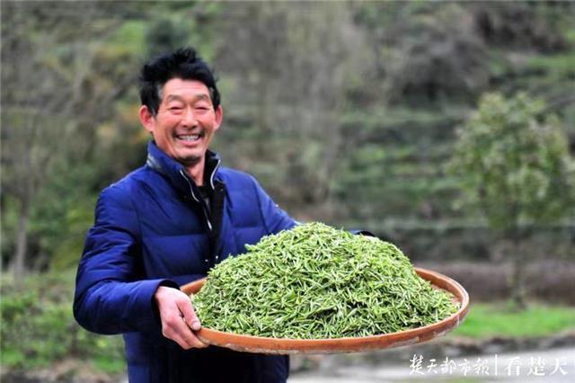 最新夷陵新聞，探索自然美景的旅程，尋覓內(nèi)心平和之地