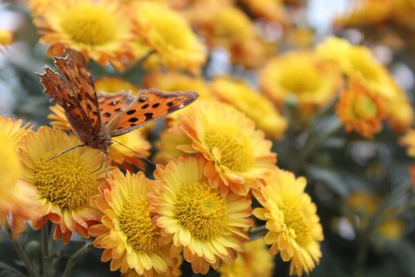 番茄最新作品，用學習之鑰，開啟自信與成就的大門