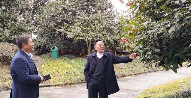 最新花木求購，開啟一場尋綠之旅的溫馨旅程