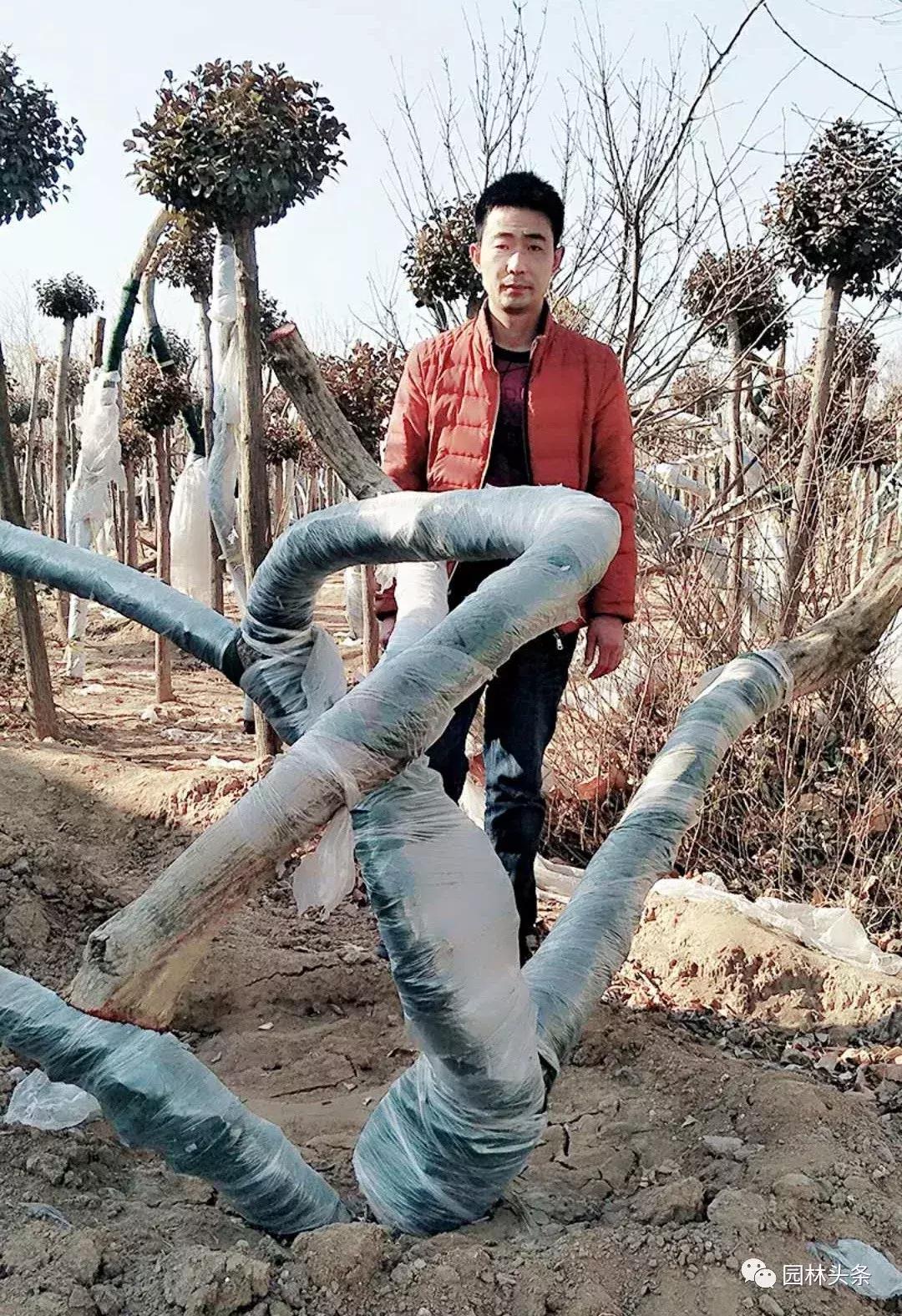 定州最新急招工，時(shí)代的呼喚與行業(yè)重塑的挑戰(zhàn)