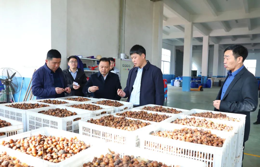 建寧最新新聞，城市溫馨日常與友情力量的展現(xiàn)