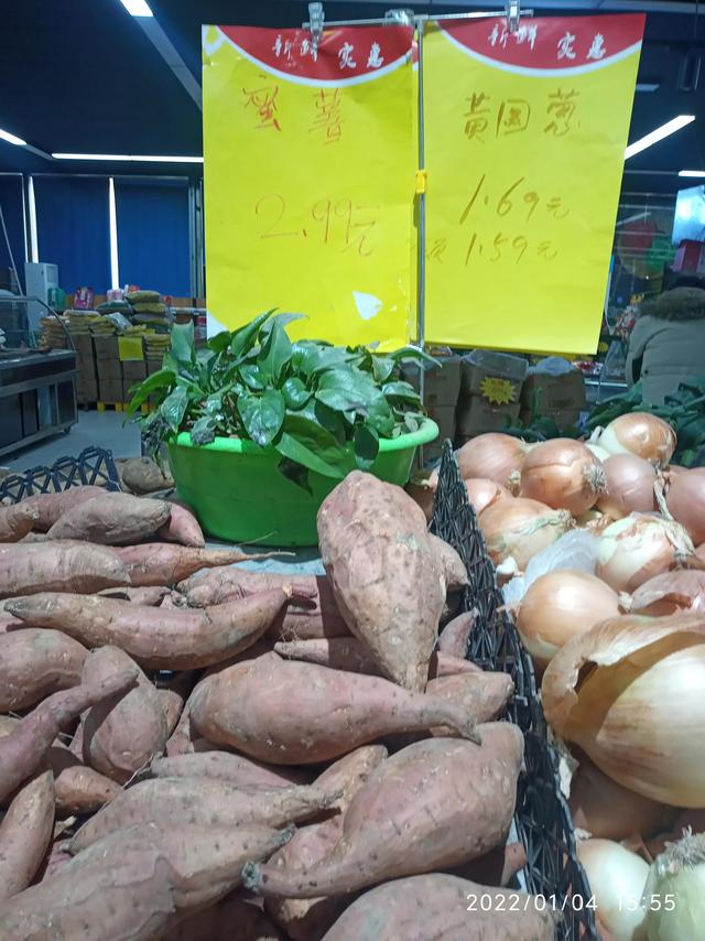 最新地瓜價格解析，查詢指南與任務(wù)攻略