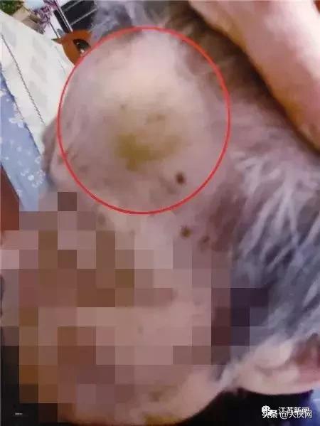 揪脖子最新視頻，探秘小巷風(fēng)情小店，獨(dú)家揭秘！