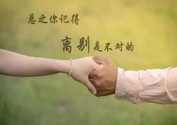 科技新品領(lǐng)略之旅，智能生活的前所未有體驗(yàn)