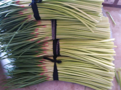 運(yùn)動(dòng)場館燈具 第101頁