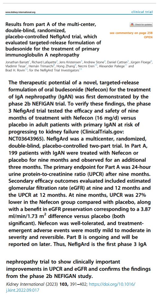 IGA腎病最新突破，醫(yī)學(xué)奇跡在小店中綻放的獨(dú)特魅力