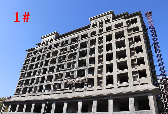 平輿最新樓盤市場(chǎng)現(xiàn)狀與前景展望，深度解析市場(chǎng)趨勢(shì)與發(fā)展前景展望