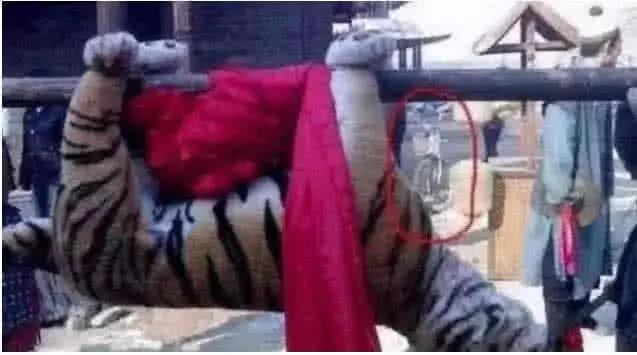 最新打虎消息，探尋內心平靜的打虎之旅