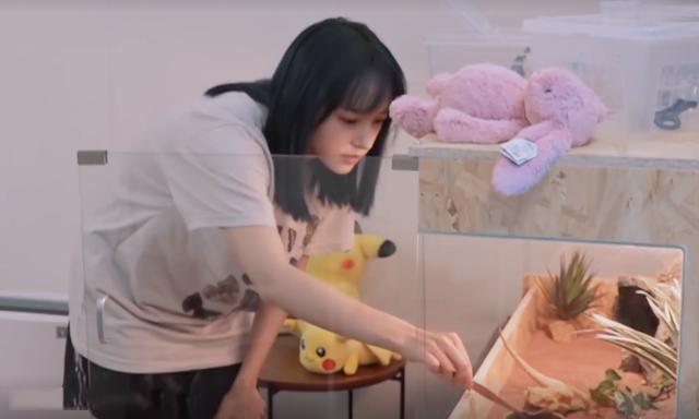 程瀟最新綜藝節(jié)目，心動(dòng)瞬間，不容錯(cuò)過！?