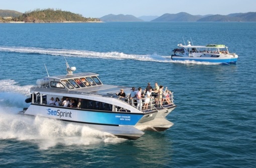 時(shí)代背景下的璀璨星辰，最新號號天堂綜述