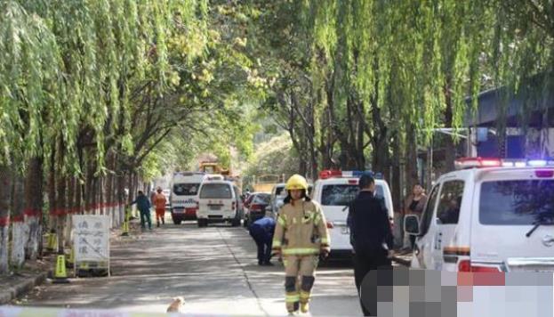 安陽最新事件，溫馨日常與不期而遇的友情之旅