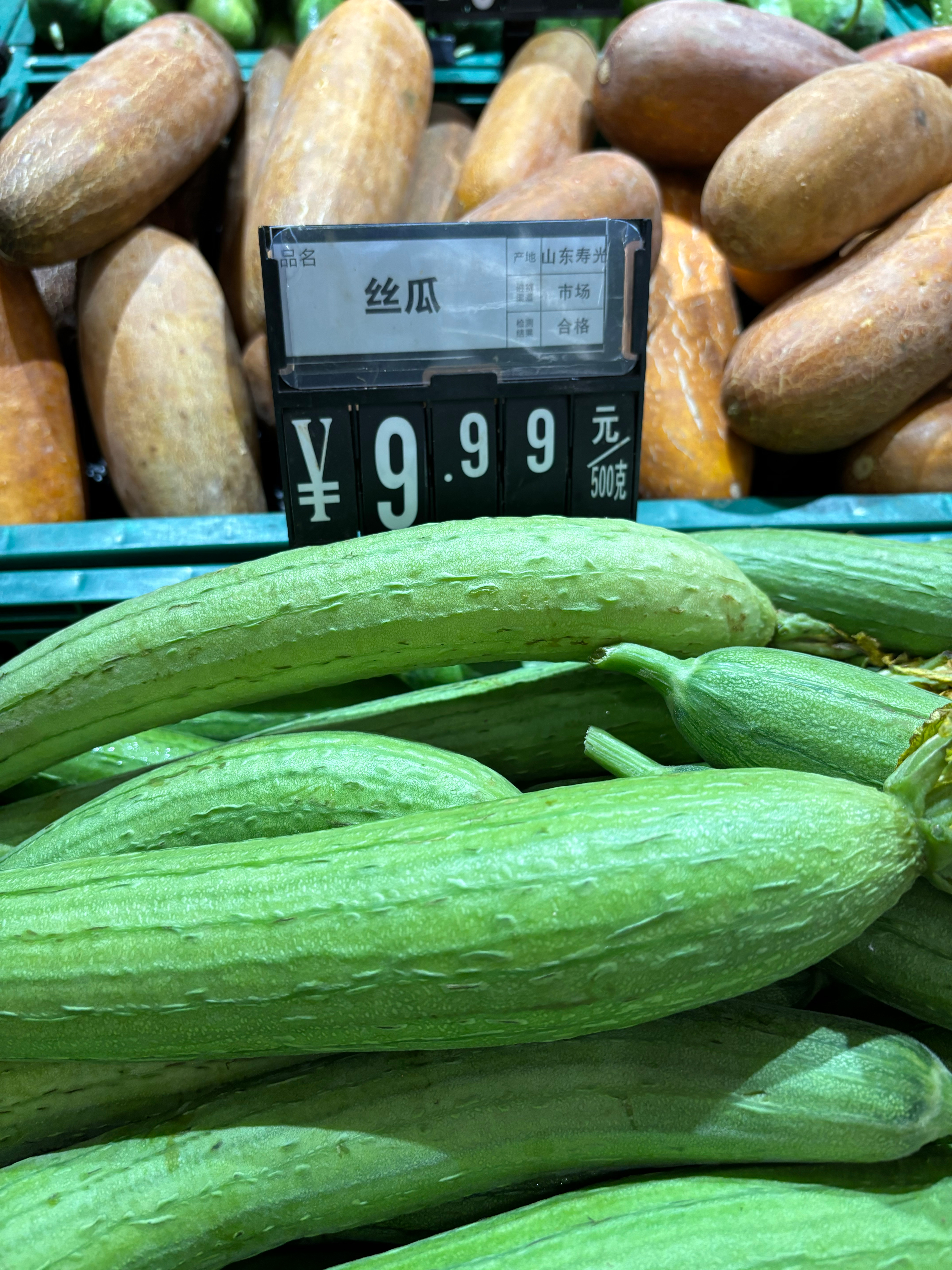 絲瓜價格最新行情??大揭秘！火爆價格走勢一網(wǎng)打盡??