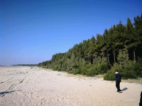 揭秘2025最新臺(tái)風(fēng)路線，提前預(yù)警，保障安全無(wú)憂