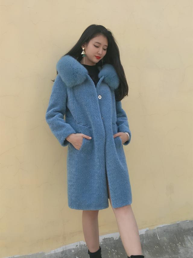 三七花最新價(jià)格揭秘，溫馨小故事中的尋找之旅