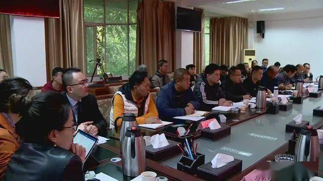 德昌最新新聞，擁抱自然，心靈寧靜之旅啟程