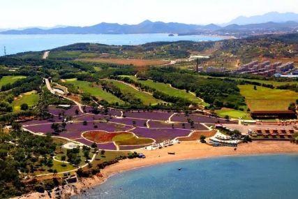 心悅海島探險(xiǎn)攻略，最新任務(wù)指南與探險(xiǎn)體驗(yàn)