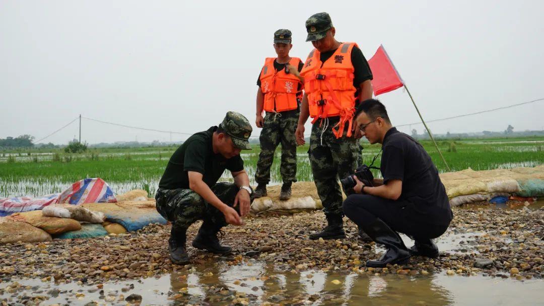 永修最新聞，背景探尋與時代地位的重要事件回顧