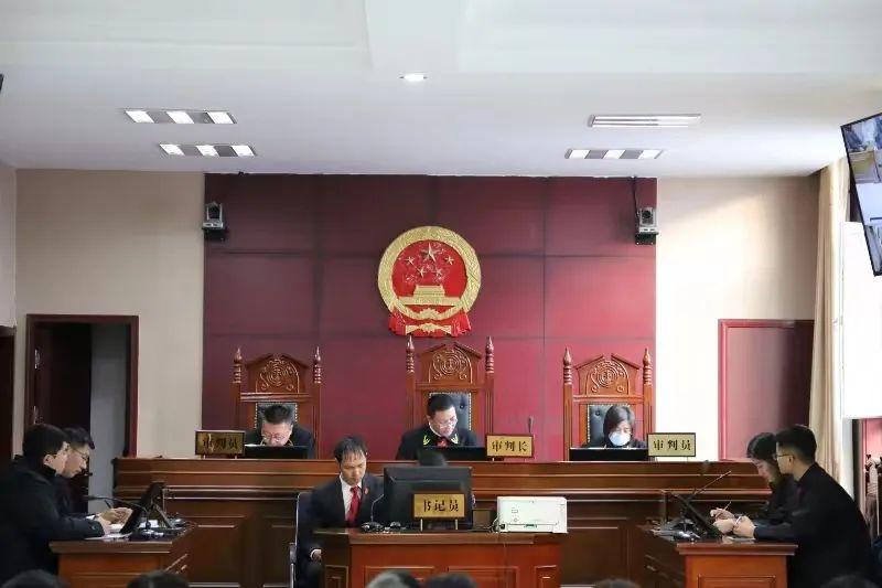 偏關(guān)最新案件深度解析，揭示真相，關(guān)注社會公正與公平