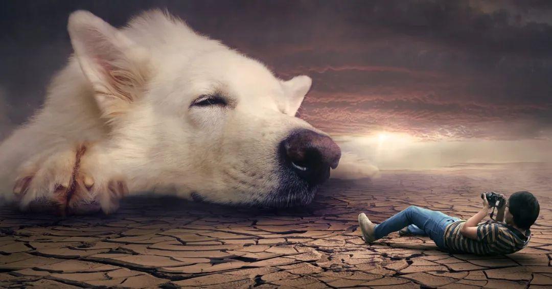 夢境最新研究揭秘，探索人類夢境的奧秘