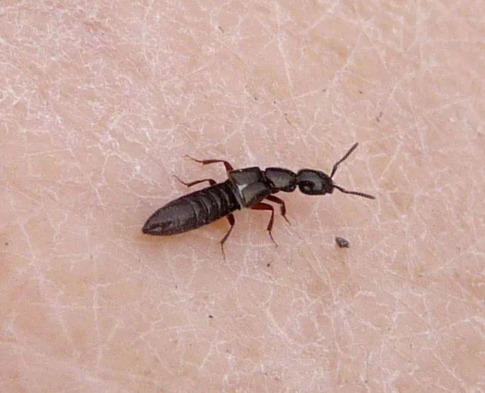 高效應對問題關鍵策略，最新處理方法詳解