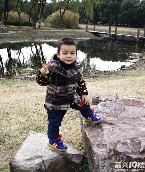 小六最新，時(shí)代背景下的重要印記與事件回顧