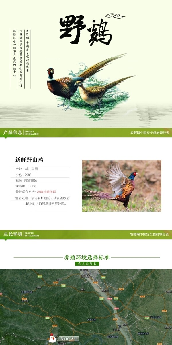 深度剖析，最新山雞的背景、事件與地位概述