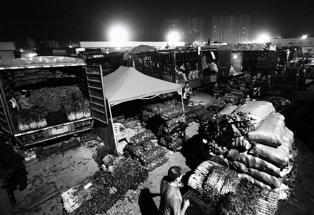 掌握新技能與完成任務(wù)，最新趨勢下的步驟指南