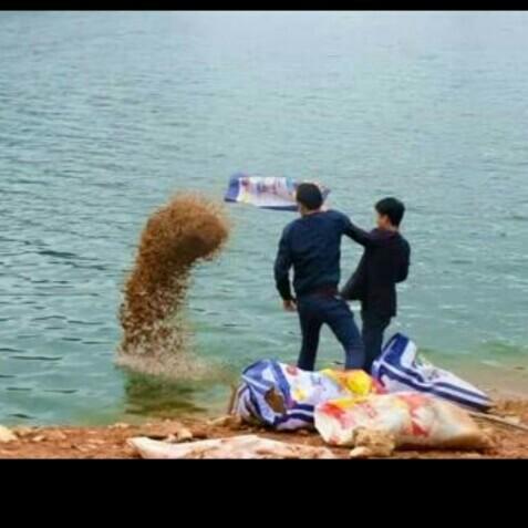 科學(xué)釣魚最新探索，學(xué)習(xí)與實踐的成就感之旅